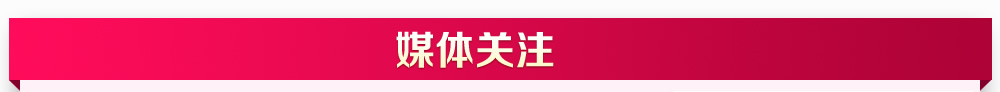 武汉婚博会 武汉婚博会